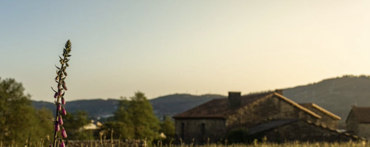 🚜 El Proyecto Viviendas de Alquiler Rural (VAR) de Burgos ya cuenta con más de 100 inmuebles registrados para cubrir la demanda de vivienda en el medio rural

Busca facilitar el alquiler y dar soluciones a propietarios con miedo al impago
+ info: bit.ly/4mbegnZ
#Burgos