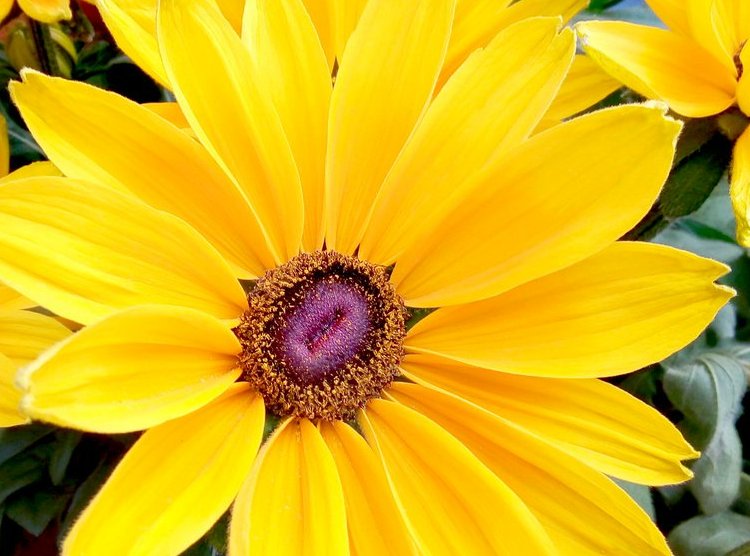 Hei sinä, joka tulet pian olemaan kesätyöntekijän työkaveri, esihenkilö tai asiakas, yksi pyyntö: Ole kiltti. Muistele, millainen olit itse työurasi alussa. Miten haluaisit itseäsi kohdeltavan? Rohkaistaan, tuetaan ja arvostetaan nuoria, niin he saavat hyvä startin työelämässä!