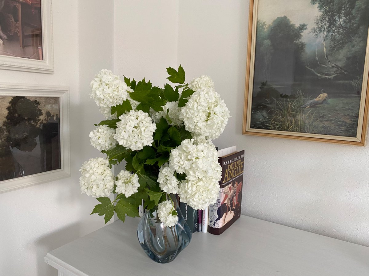 MarketaZapletal's tweet photo. Viburnum opulus https://t.co/eNvvCCzTvi