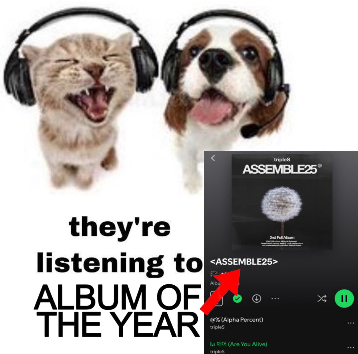 OHHHHH TRIPLES IS BACCCKKKJJ