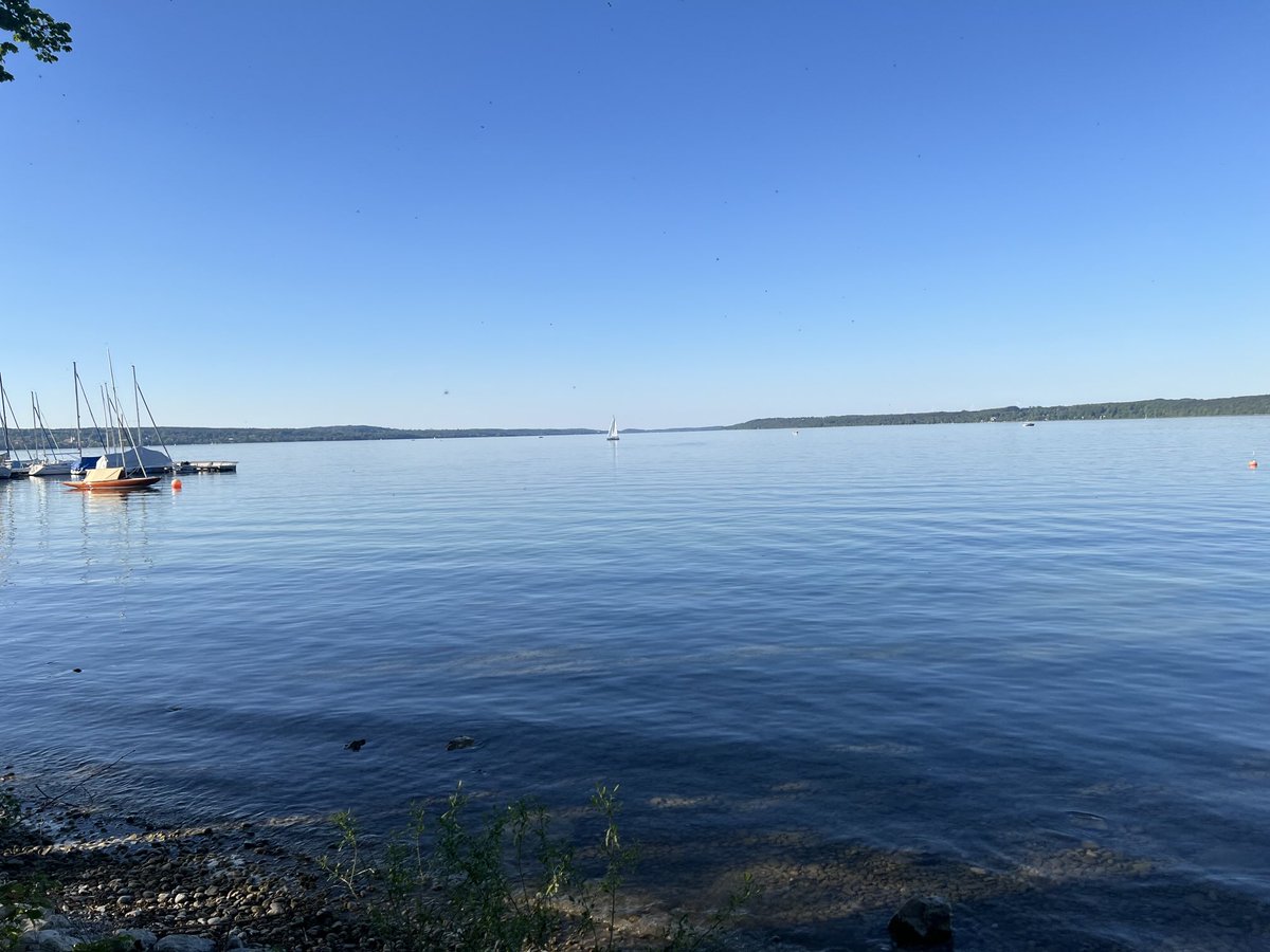 peter sorkovsky tweet media