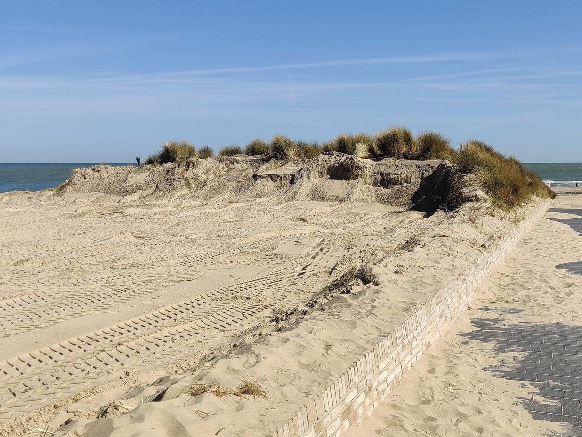Kustvisie heeft lange weg te gaan, als dit de manier is waarop we elke keer opnieuw met de duinen op strand omgaan. Deze is Westende, dossier overgemaakt aan Natuurinspectie. 

Dringend aangepast strandbeheerplan nodig om kustbescherming te beschermen.
