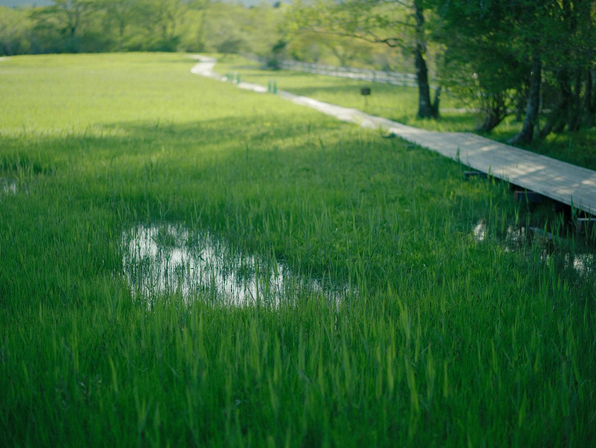 meow_photo's tweet image. 新緑の箱根
楽園って感じだった