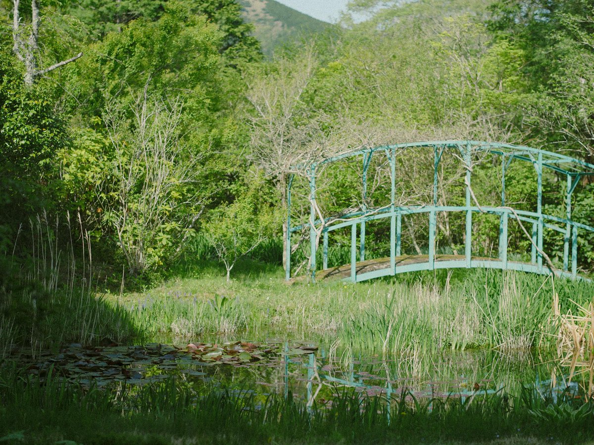 meow_photo's tweet image. 新緑の箱根
楽園って感じだった