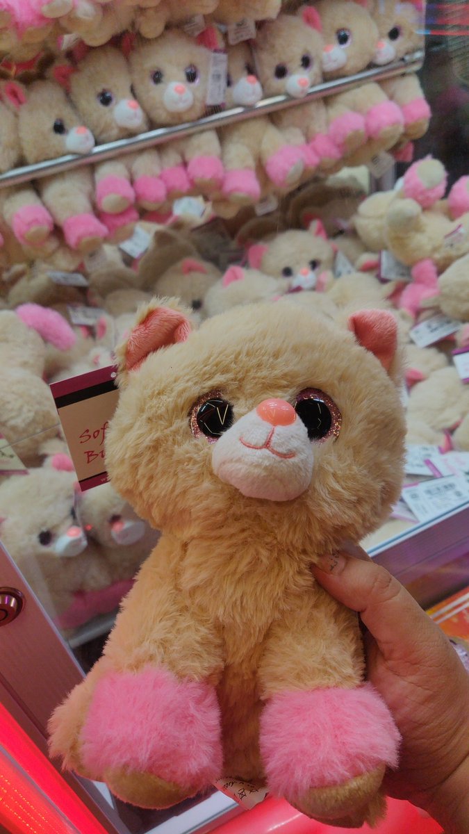Tripti_X's tweet photo. Small happiness! Won this at a #clawmachine https://t.co/8zNuTJjocf