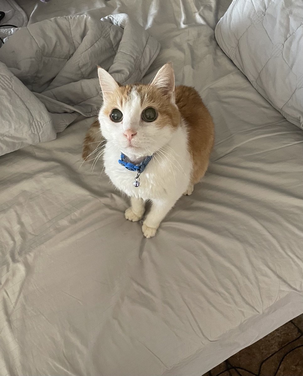 plazy ☾*✲⋆. (@plazynoodles) on Twitter photo 