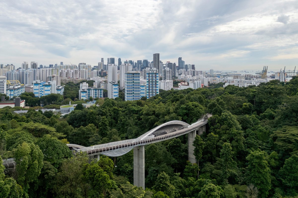 UN Special Procedures (@un_spexperts) on Twitter photo UN expert on the right to a clean, healthy and sustainable environment <a href="/SREnvironment/">SREnvironment</a> to visit Singapore 🇸🇬 from 14 to 23 May.
ohchr.org/en/press-relea… UN expert on the right to a clean, healthy and sustainable environment <a href="/SREnvironment/">SREnvironment</a> to visit Singapore 🇸🇬 from 14 to 23 May.
ohchr.org/en/press-relea…