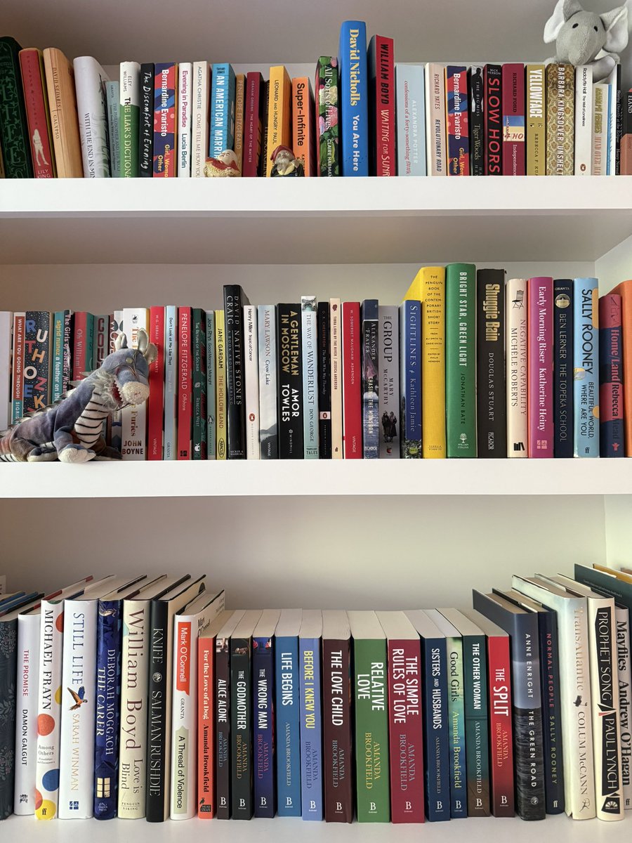 In truth, the biggest high of being a writer is seeing your books on a shelf, surrounded by other REAL books!
(Er… I’m in the bottom row).
#writerslift #MondayMotivation #writerslife #author #books #bestsellers #WritingCommunity