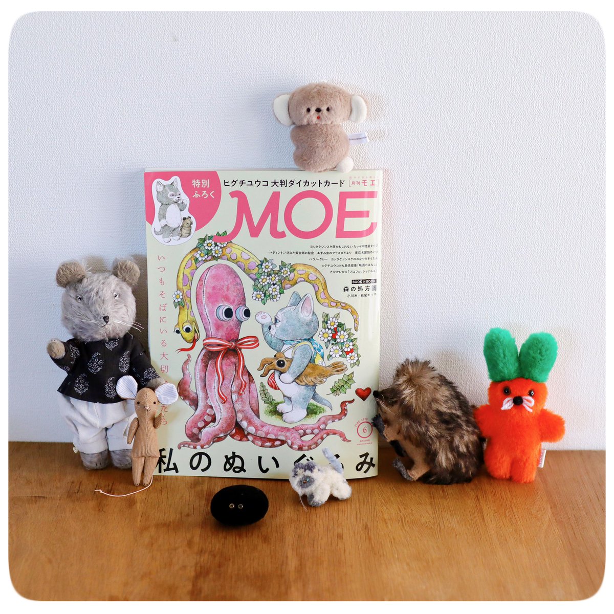 はっ、5月ももう半ばになってしまった MOE6月号発売中です📙ꔛ 巻頭の