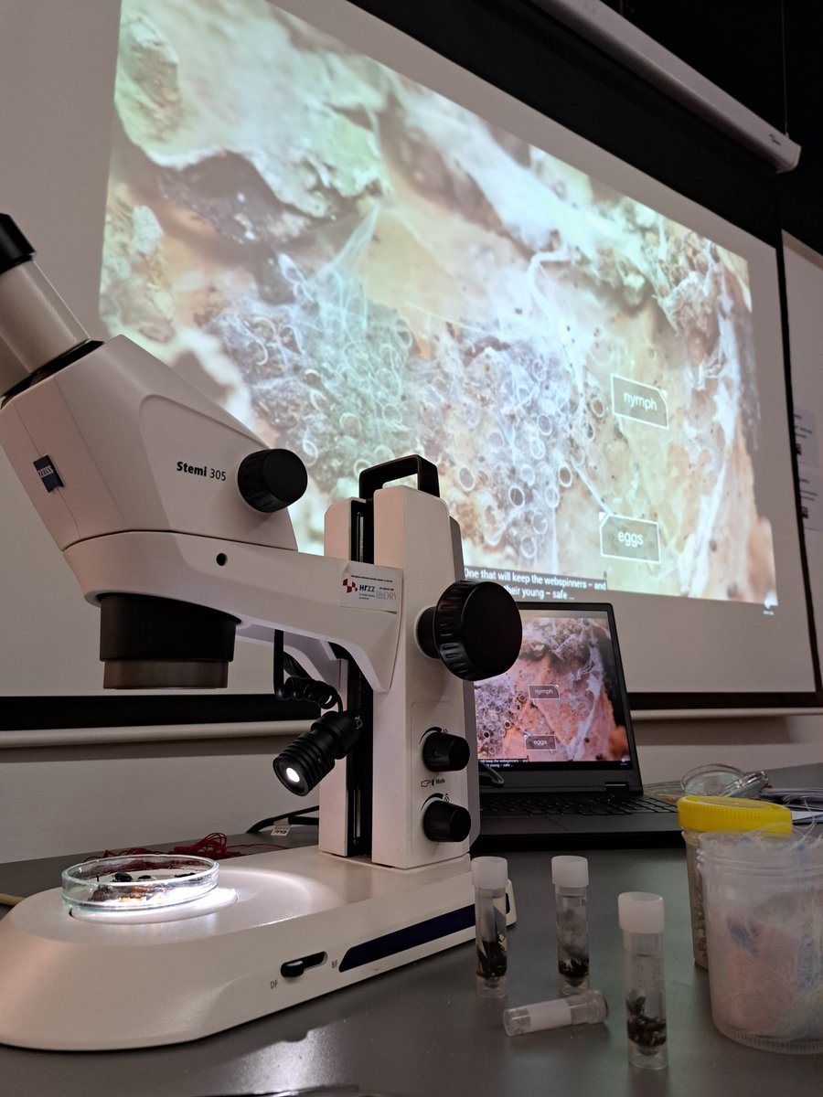This week, DinDRY members hosted an educational workshop for kids about food webs in intermittent rivers 🌊 as part of the Science Festival in Zagreb, held at the Nikola Tesla Technical Museum. Great energy, curious minds, and lots of smiles! #FestivalZnanosti
