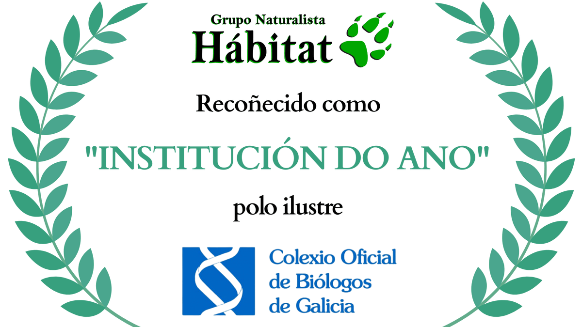 gn_habitat's tweet image. 🔊 Con moita ledicia, comprácenos compartir convosco que o G.N.Hábitat foi galardoado co premio “Institución do Ano 2025” por parte do ilustre @COBGalicia ! Un recoñecemento compartido con todos os que facedes crecer esta gran familia. Grazas!
Máis info ▶️ bit.ly/4k8ofbK