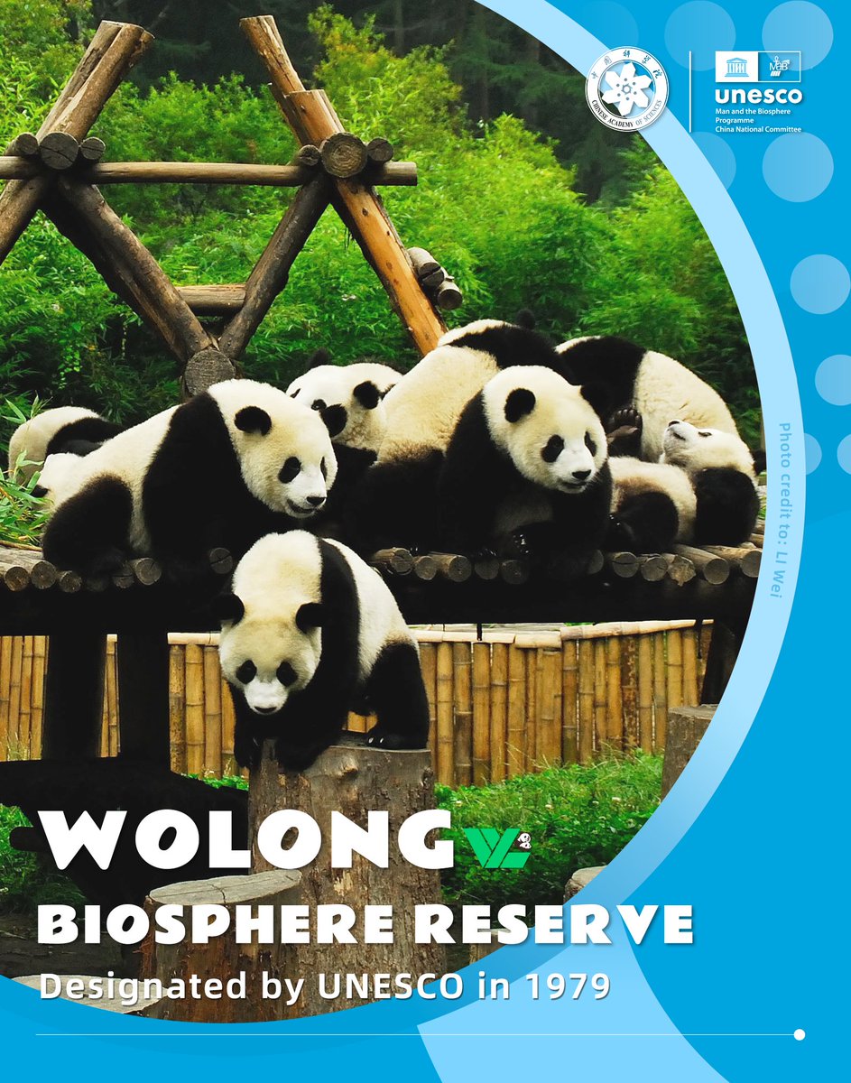 Chinese Academy of Sciences (@cas__science) on Twitter photo #BiosphereStories
Biosphere Reserves in China - Wolong
🐼 Wolong Biosphere Reserve, home to giant pandas & a global hub for conservation.
🌿 Designated by <a href="/UNESCO/">UNESCO 🏛️ #Education #Sciences #Culture 🇺🇳</a> in 1979, it's a model for how people & nature can thrive together.
🔍 Why does Wolong matter more than ever? Let's #BiosphereStories
Biosphere Reserves in China - Wolong
🐼 Wolong Biosphere Reserve, home to giant pandas & a global hub for conservation.
🌿 Designated by <a href="/UNESCO/">UNESCO 🏛️ #Education #Sciences #Culture 🇺🇳</a> in 1979, it's a model for how people & nature can thrive together.
🔍 Why does Wolong matter more than ever? Let's