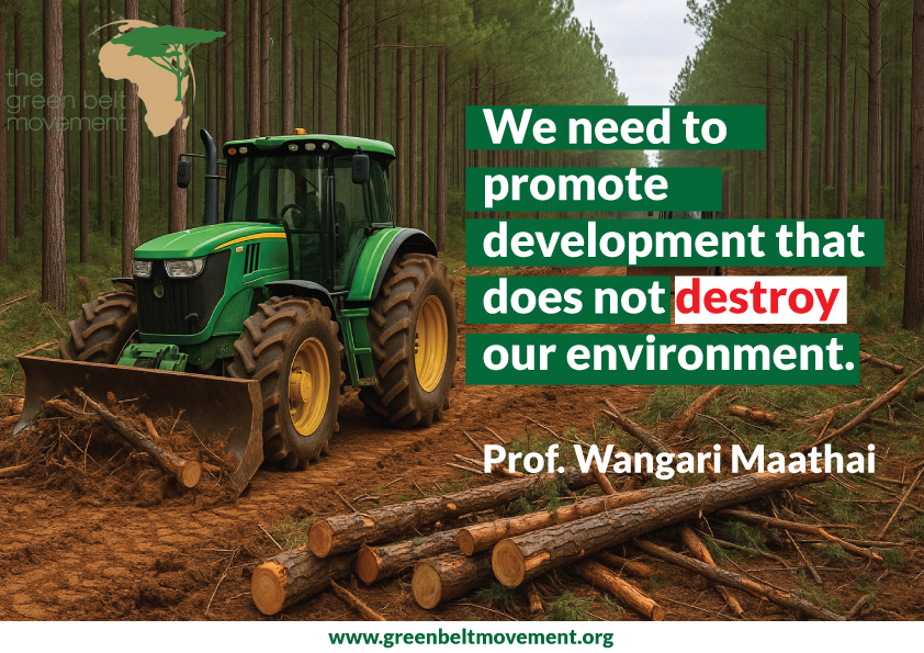 "We need to promote development that does not destroy our environment." — Prof. Wangari Maathai 🌿
True progress respects nature. Real development protects our environment. Let us choose sustainability and protect our future. #SaveOurForests #SaveKarura #AberdareYetu #SaveMau