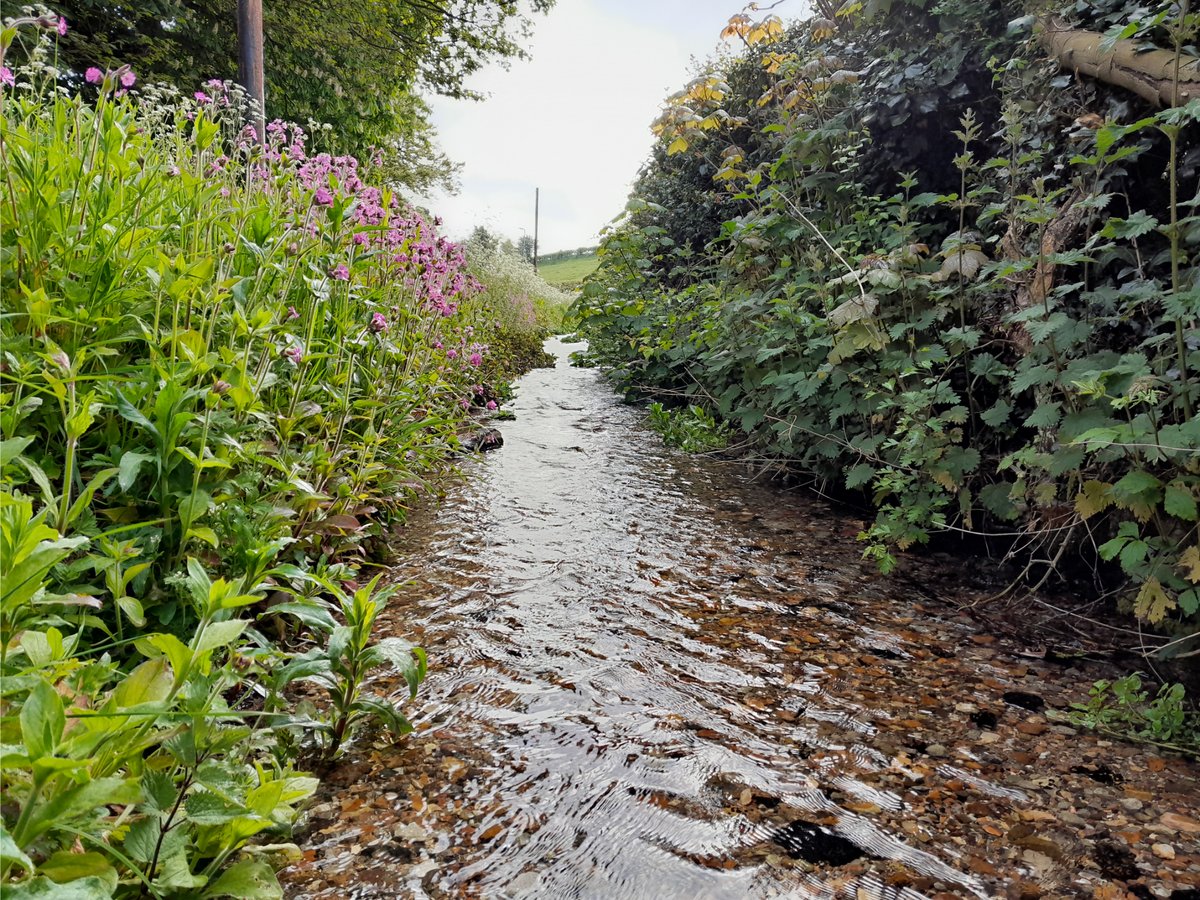Lincs Chalk Streams (@lincchalkstream) on Twitter photo We are always glad to engage with local businesses to help raise awareness of life in our chalk streams.
Employees from <a href="/Micronclean/">Micronclean</a> in #louth were shown a sample from a #chalkstream and then compared it with a sample from their pond on site. Both habitats looking healthy! We are always glad to engage with local businesses to help raise awareness of life in our chalk streams.
Employees from <a href="/Micronclean/">Micronclean</a> in #louth were shown a sample from a #chalkstream and then compared it with a sample from their pond on site. Both habitats looking healthy!