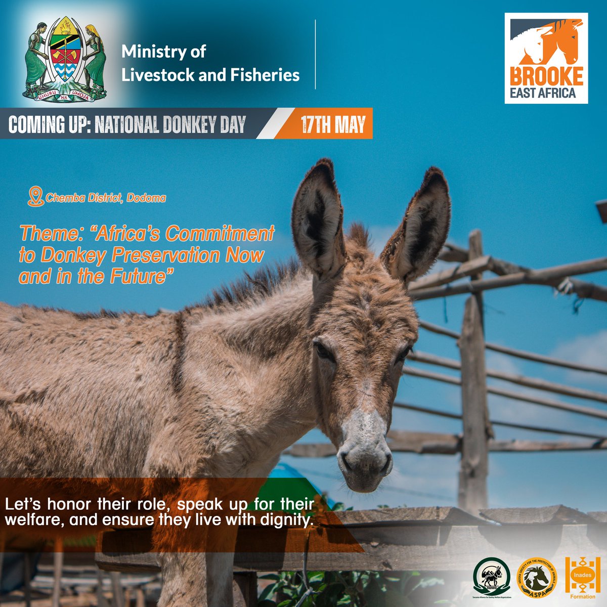 “Every ear tells a story, every eye holds a journey.” 🐴

Join us in Chemba District, Dodoma for #DonkeyDay2025 — May 16–17!

Theme: Africa’s Commitment to Donkey Preservation – Now &amp; in the Future

Let’s stand up for donkeys. 💪
#Donkeysbetterlive #NyamaSafeKwaPlate