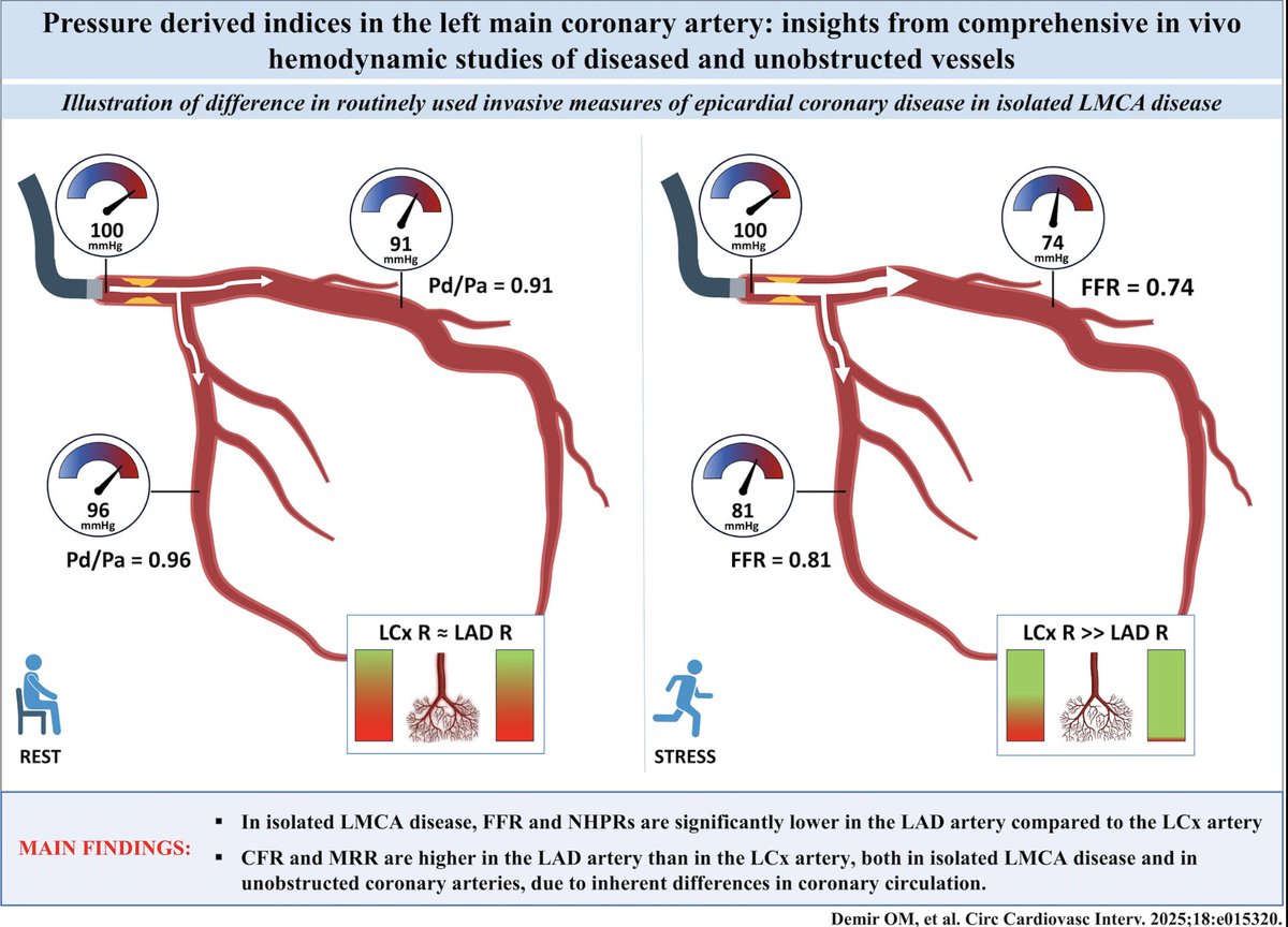 Ozan M. Demir (@drozandemir) on Twitter photo Pressure-Derived Indices in Left Main Coronary Artery Disease <a href="/CircIntv/">CircInterventions</a>
➡️ PW indices differ significantly between the LAD and LCx in isolated LMCA due to inherent differences in microvascular resistance and coronary flow.
🔗ahajournals.org/doi/10.1161/CI…
<a href="/TheBHF/">British Heart Foundation</a> <a href="/kingscardio/">Cardiovascular and Metabolic Medicine & Sciences</a> Pressure-Derived Indices in Left Main Coronary Artery Disease <a href="/CircIntv/">CircInterventions</a>
➡️ PW indices differ significantly between the LAD and LCx in isolated LMCA due to inherent differences in microvascular resistance and coronary flow.
🔗ahajournals.org/doi/10.1161/CI…
<a href="/TheBHF/">British Heart Foundation</a> <a href="/kingscardio/">Cardiovascular and Metabolic Medicine & Sciences</a>
