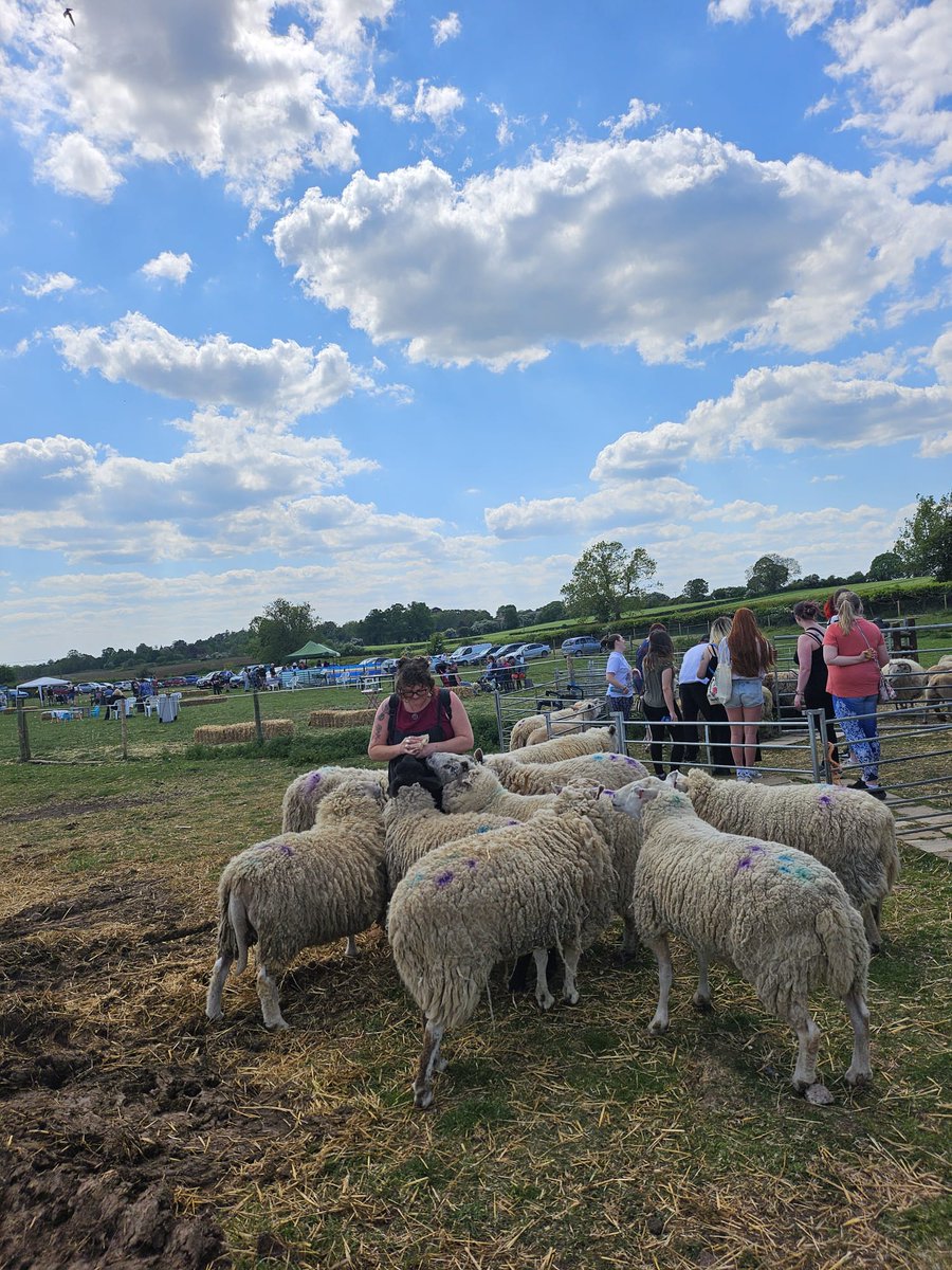 fars_sanctuary's tweet photo. Yesterday at the sanctuary ๐โ๏ธ๐
Humans with good hearts โ loving our animals, supporting our team, living their values, making the world a better, kinder, fairer place for all ๐โฅ๏ธโฎ๏ธโ๏ธ๐ค
#SpringOpenDay
#VeganSanctuary
#KindToAllKind
#VeganForTheAnimals
#AllLivesArePrecious https://t.co/sy8CoV5qEE