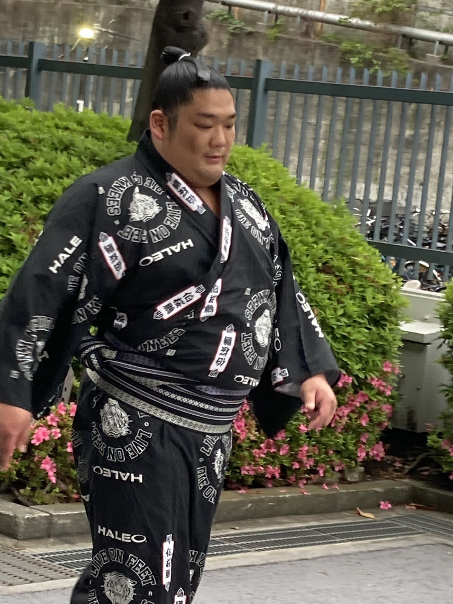 ミカミです。尊富士 伯桜鵬 2点 ミカミです。尊富士 伯桜鵬 2点 スペシャル対談》尊富士と伯
