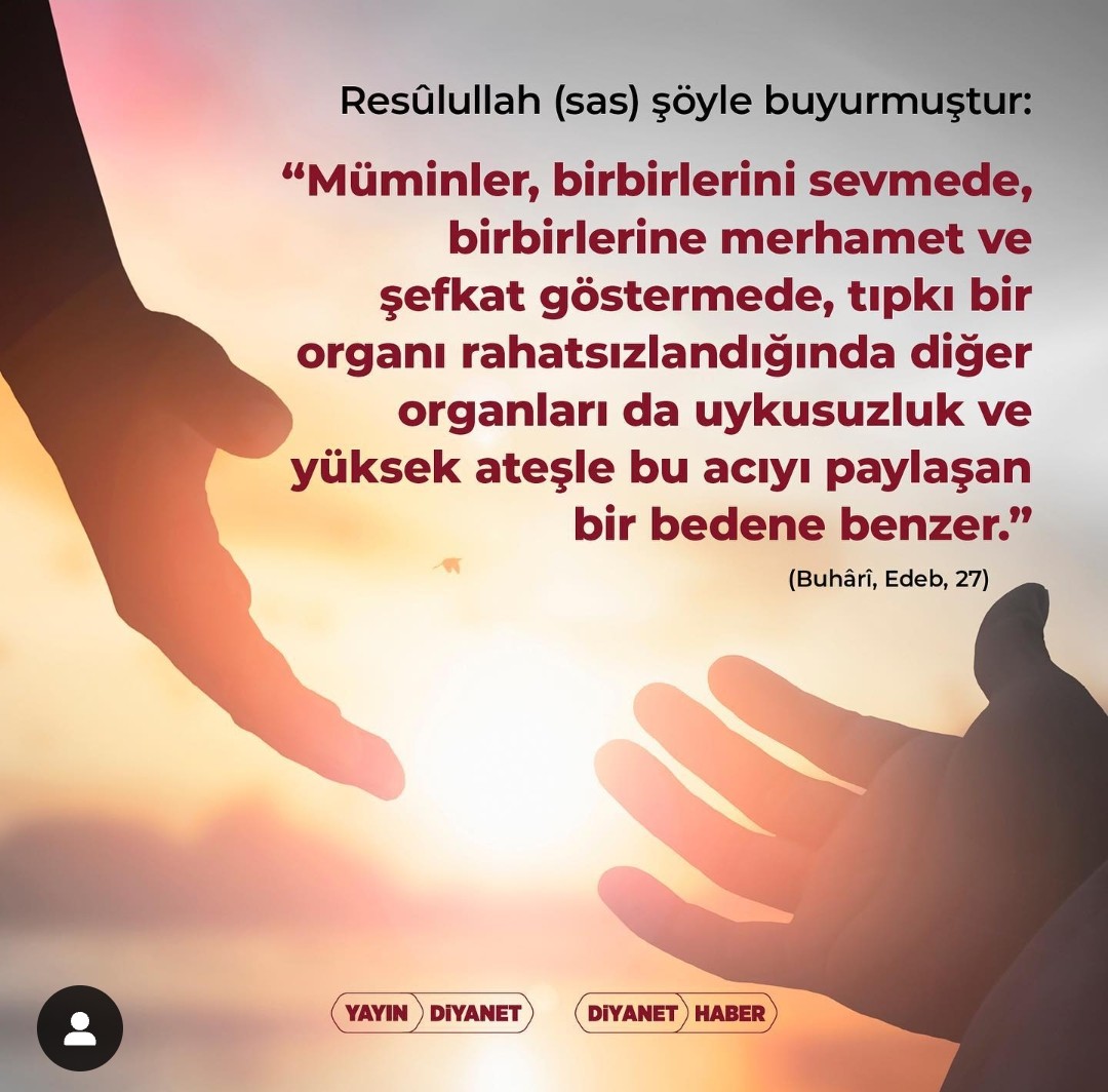 vuqar jafarli (@jafarlivuq66854) on Twitter photo 