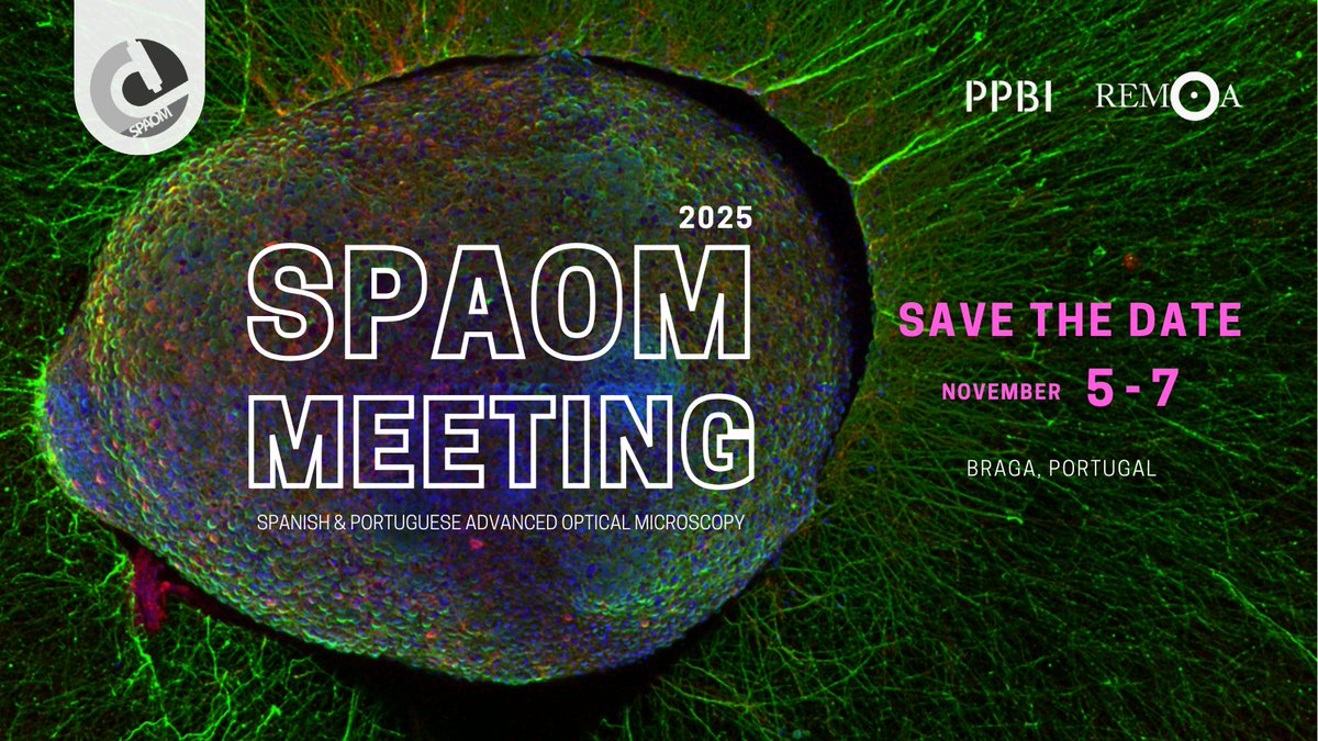 SPAOM (@spaom5) on Twitter photo 📢 SPAOM MEETING 2025 | SAVE THE DATE
📅 November 5-7
📍Braga, Portugal
<a href="/PPBioImaging/">PPBI-Portuguese Platform of BioImaging</a>
<a href="/REMOABioimaging/">REMOA-Spanish Network for Advanced Microscopy</a>
<a href="/icvs_uminho/">ICVS</a>
<a href="/3bsuminho/">3B's Research Group</a>
<a href="/INLnano/">INL</a>
#science #microscopy #conference #bioimaging #braga #microworld #microscope #spaom #research #scicomm #microscopyart #spatialbiology 📢 SPAOM MEETING 2025 | SAVE THE DATE
📅 November 5-7
📍Braga, Portugal
<a href="/PPBioImaging/">PPBI-Portuguese Platform of BioImaging</a>
<a href="/REMOABioimaging/">REMOA-Spanish Network for Advanced Microscopy</a>
<a href="/icvs_uminho/">ICVS</a>
<a href="/3bsuminho/">3B's Research Group</a>
<a href="/INLnano/">INL</a>
#science #microscopy #conference #bioimaging #braga #microworld #microscope #spaom #research #scicomm #microscopyart #spatialbiology