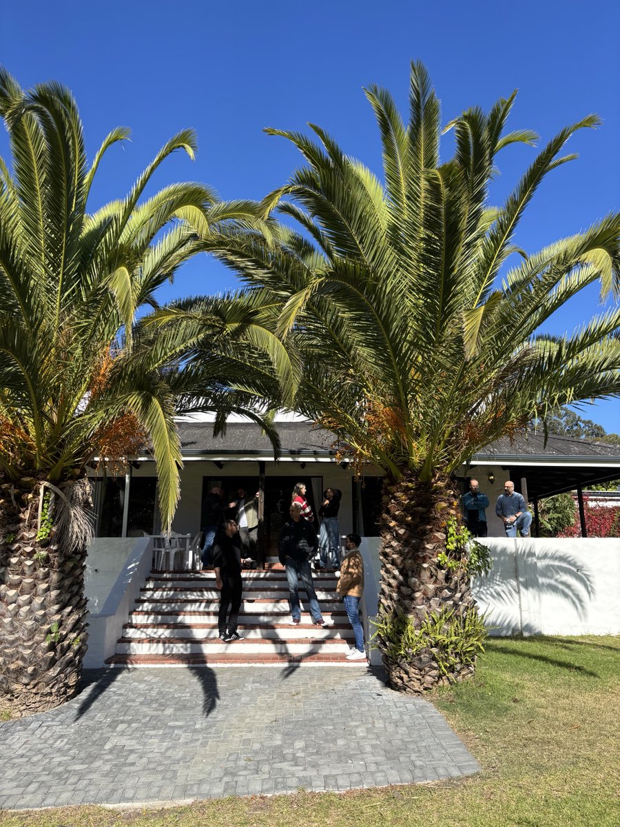 Knife Capital 🔪 tweet media