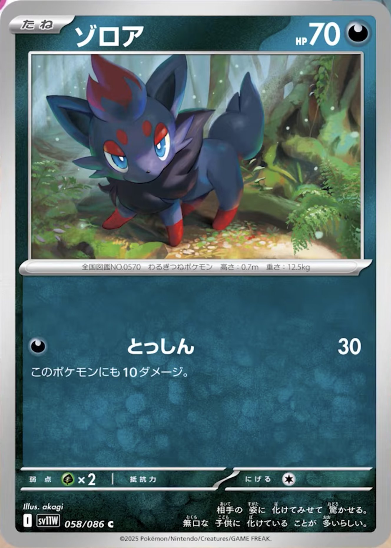 2025 ポケモン SV11W JP ゾロアーク AR psa10 ☆ポケモンカード新作・再販速報 on X: 
