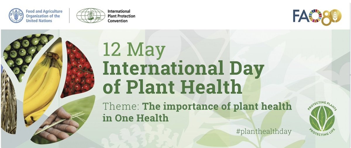 Waste4Soil (@waste4soil) on Twitter photo 🌱 Happy International Day of Plant Health! 🌱
Today, we celebrate the vital role of #healthyplants in sustaining life, ecosystems, and our future!
At <a href="/Waste4Soil/">Waste4Soil</a> we’re turning biowaste into a resource for soil regeneration, because #healthysoil = #healthyplants.
🌱 🌾 🍃 🌱 Happy International Day of Plant Health! 🌱
Today, we celebrate the vital role of #healthyplants in sustaining life, ecosystems, and our future!
At <a href="/Waste4Soil/">Waste4Soil</a> we’re turning biowaste into a resource for soil regeneration, because #healthysoil = #healthyplants.
🌱 🌾 🍃