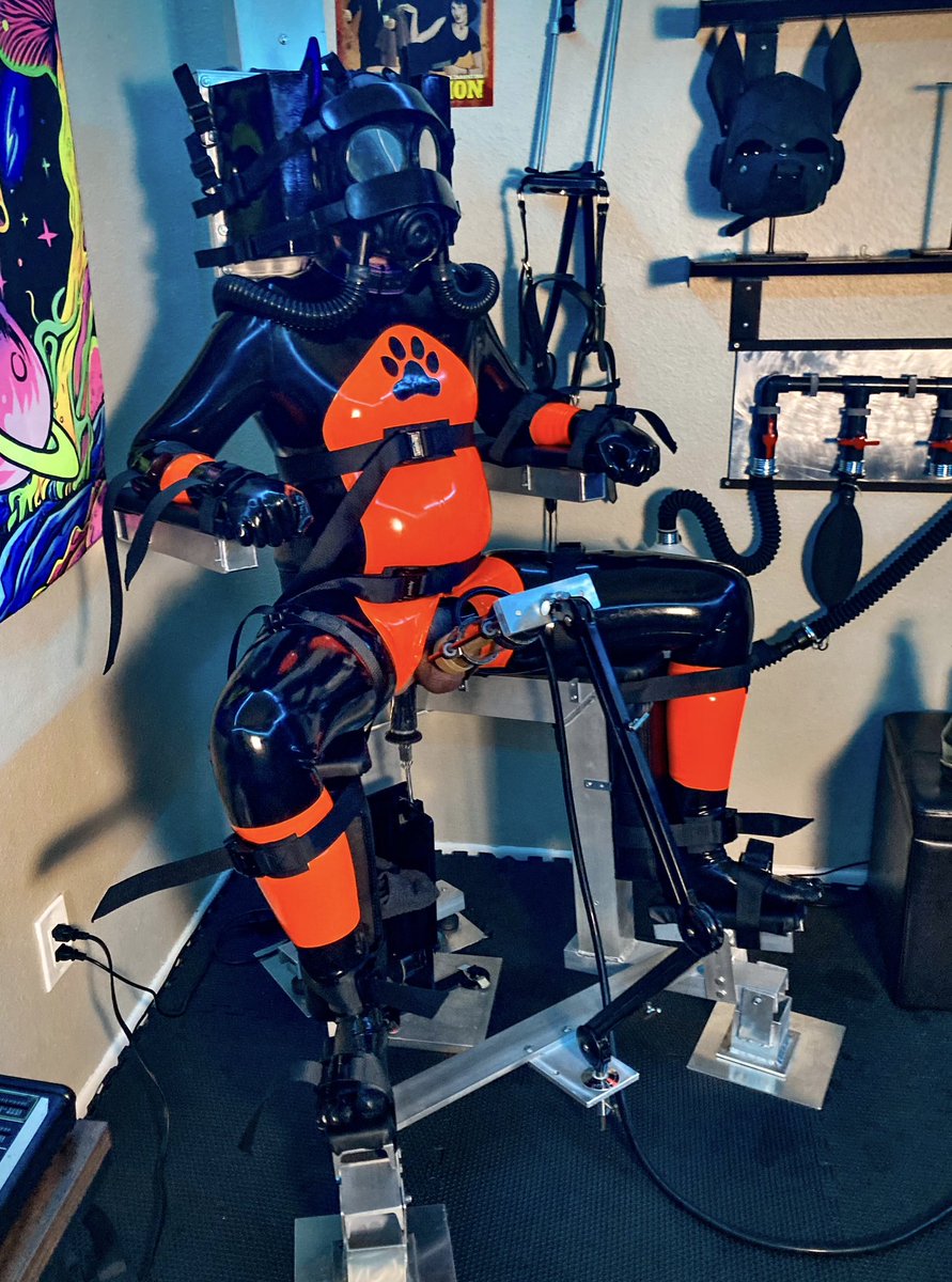 Be sure to show your housemates the same kindness that they show you😈

🍊.. <a href="/DarPuppy/">Pup Dar</a> ..🐾