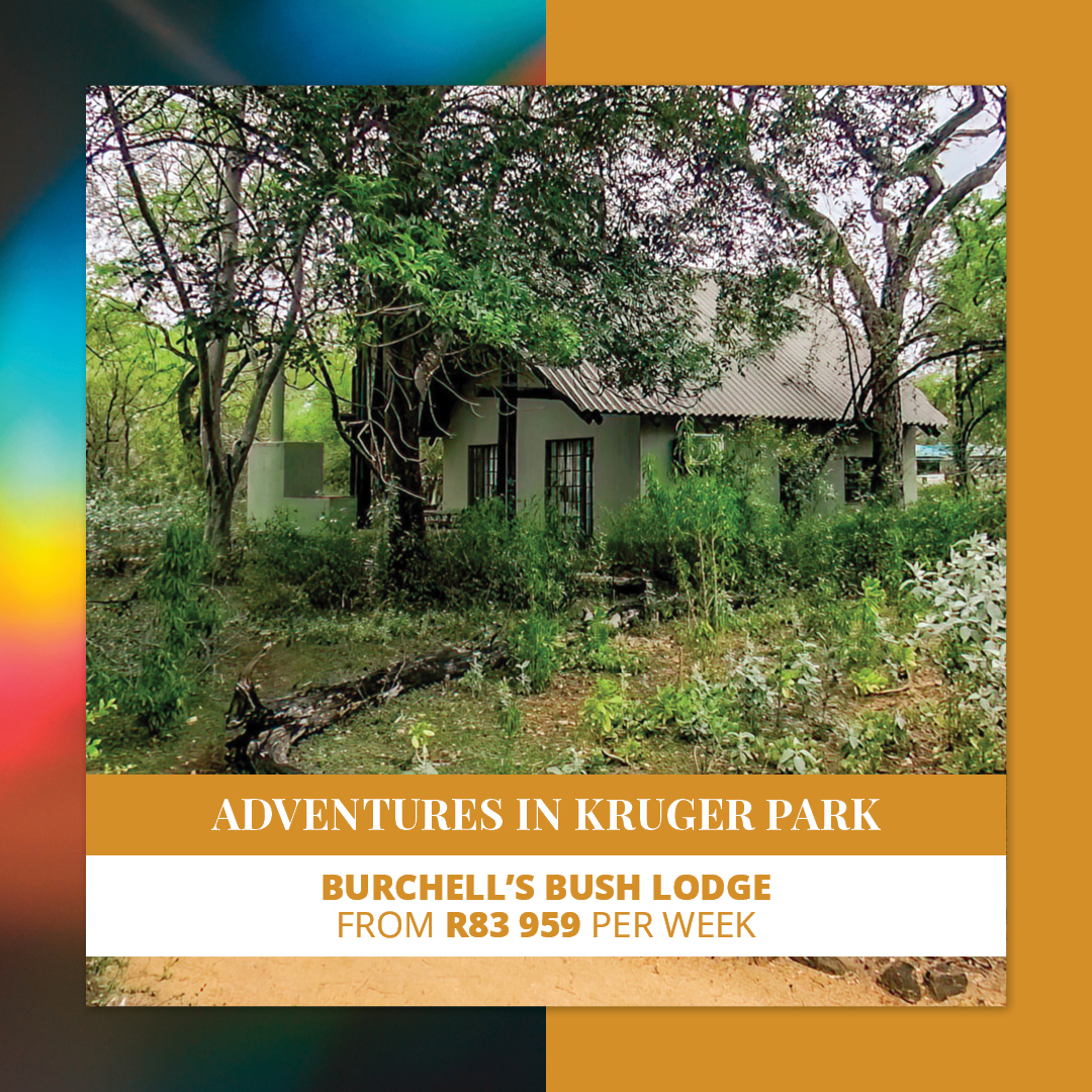 Luxury lodges, flourishing wildlife, and exhilarating activities – our properties have all you need in a bush escape. 🌳 Own yours. Enquire about shared ownership at: bit.ly/3SD6fdH

#DreamHotels #DreamResorts #HolidayInvestments