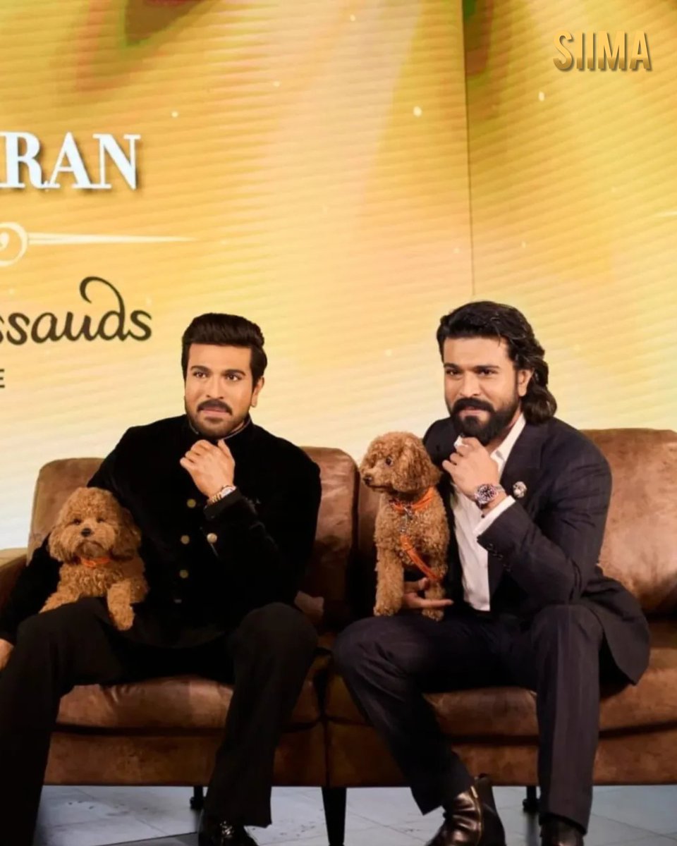 siima's tweet image. A moment etched in history! 🌟 @AlwaysRamCharan and his adorable pet Rhyme are now forever part of Madame Tussauds — a rare honour shared only with royalty. 🐾✨ 

#RamCharan #Rhyme #MadameTussauds #HistoryMade #siima
