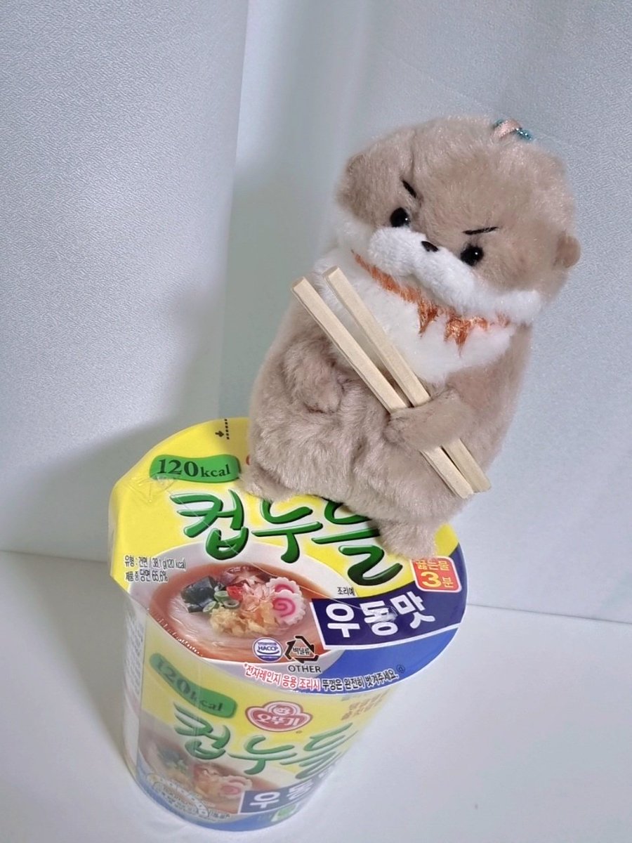 솔음아. 재관아. 컵라면에 물올리면 일어나는 일이 뭔지 알아?
출동이야.