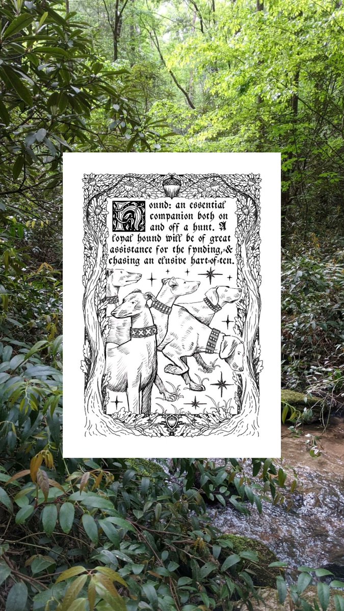 CallieBarbasArt's tweet photo. The sketch for last month's patreon linocut print: Knight's Compendium series (medieval fantasy manuscript vibes) https://t.co/FCYolUHu63