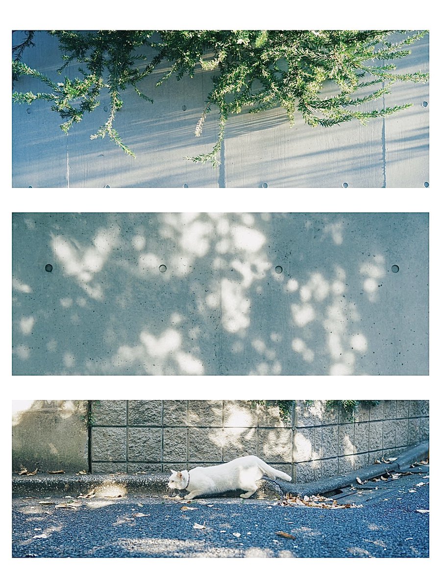 hinamin012's tweet image. life