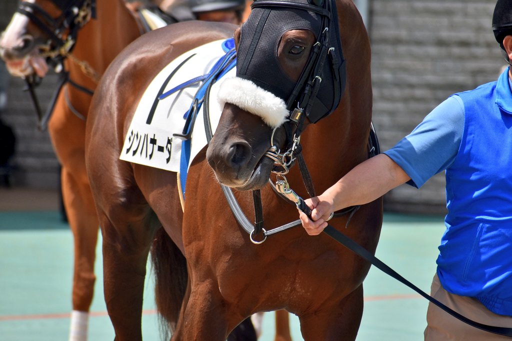 CLbycルメール イクイノックス ルメール騎手 競馬 Tシャツ S JRA