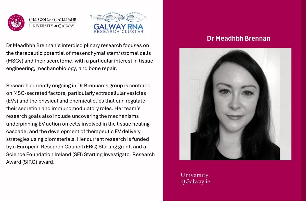 Galway RNA Research Cluster (@galwayrna) on Twitter photo Meet the Researcher: Dr Meadhbh Brennan (<a href="/MeadhbhBrennan/">Meadhbh Brennan</a>) is a Galway University Foundation Senior Research Lecturer in Biomedical Engineering and Regenerative Medicine.
#GalwayRNAResearchCluster #tissueengineering #MSCs #ExtracellularVesicles #biomaterials Meet the Researcher: Dr Meadhbh Brennan (<a href="/MeadhbhBrennan/">Meadhbh Brennan</a>) is a Galway University Foundation Senior Research Lecturer in Biomedical Engineering and Regenerative Medicine.
#GalwayRNAResearchCluster #tissueengineering #MSCs #ExtracellularVesicles #biomaterials