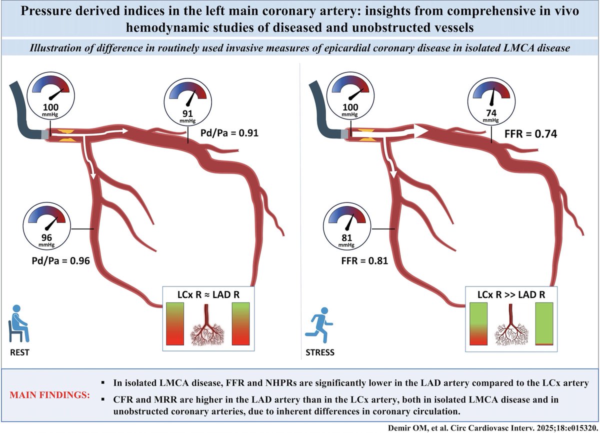 Divaka Perera (@divaka_perera) on Twitter photo Is FFR/iFR the same in the LAD and LCx in isolated LMCA disease?
We are excited to share our #disruptive findings, online <a href="/CircIntv/">CircInterventions</a> today ahajournals.org/doi/10.1161/CI…
‼️ All pressure-based indices are LOWER in the LAD than in LCx (misclassification 21% by FFR 28% by iFR) Is FFR/iFR the same in the LAD and LCx in isolated LMCA disease?
We are excited to share our #disruptive findings, online <a href="/CircIntv/">CircInterventions</a> today ahajournals.org/doi/10.1161/CI…
‼️ All pressure-based indices are LOWER in the LAD than in LCx (misclassification 21% by FFR 28% by iFR)