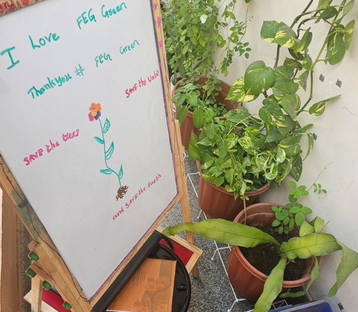 🌱 #FegGreen Challenge Alert! 🌍
We’ve hit 100 members, and we’re celebrating by giving away 50K #Fegtokens to 5 lucky winners! 🎉Rules: 
1️⃣ Water a plant 💧
2️⃣ Write “I support #FegGreen SmartDeFi project” on a sign 📝
3️⃣ Share your pic with us! 📸Winners will be picked #fegg