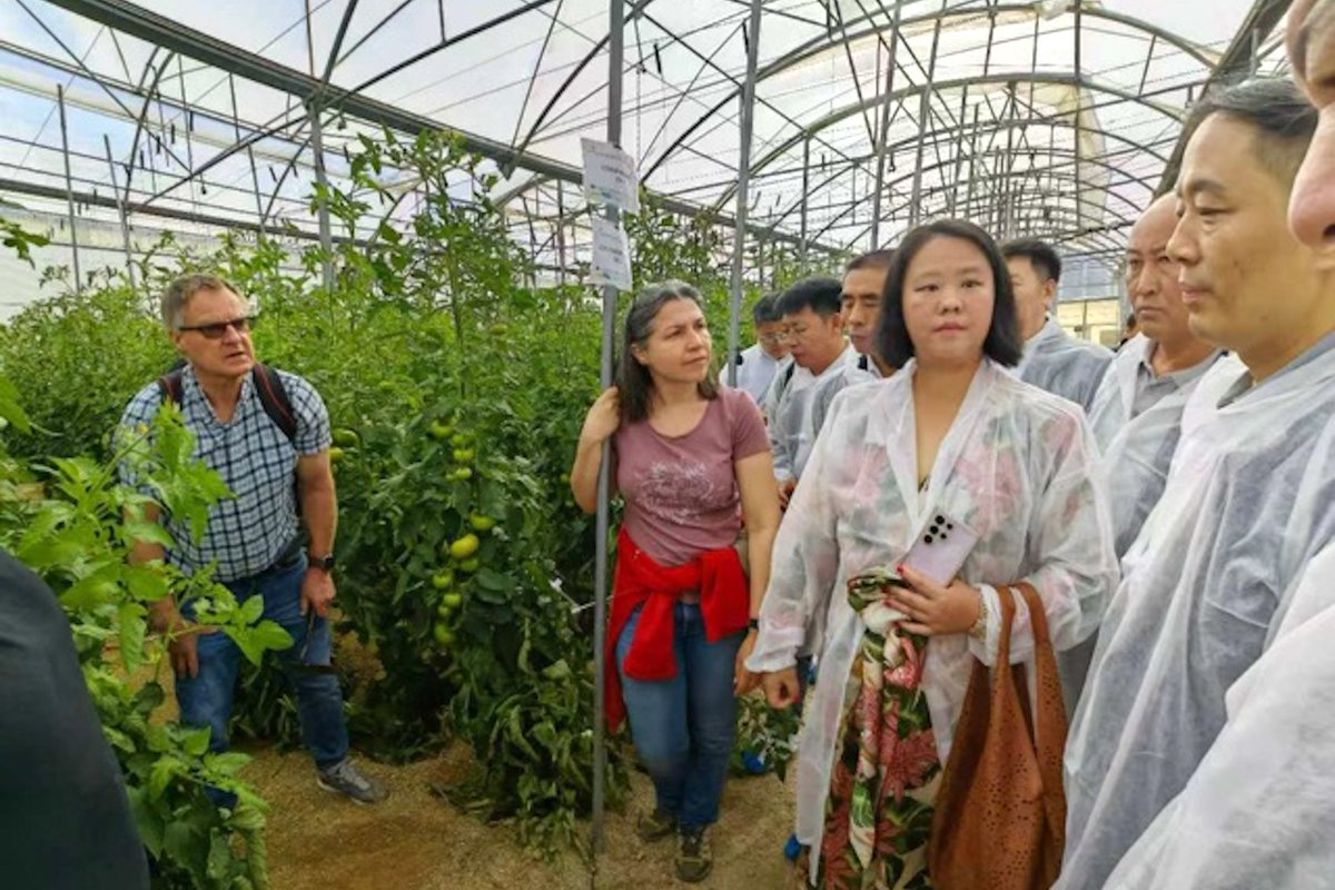 🇨🇳 En el marco del proyecto ECONUTRI, empresarios y periodistas de China han conocido el modelo Almería en fertirrigación y sistemas de invernaderos. ¡Colaboración internacional clave para la sostenibilidad agrícola!
🔊 Más info 👉 bit.ly/3S0aAYs
#UAL #SoyUAL #CienciaUAL