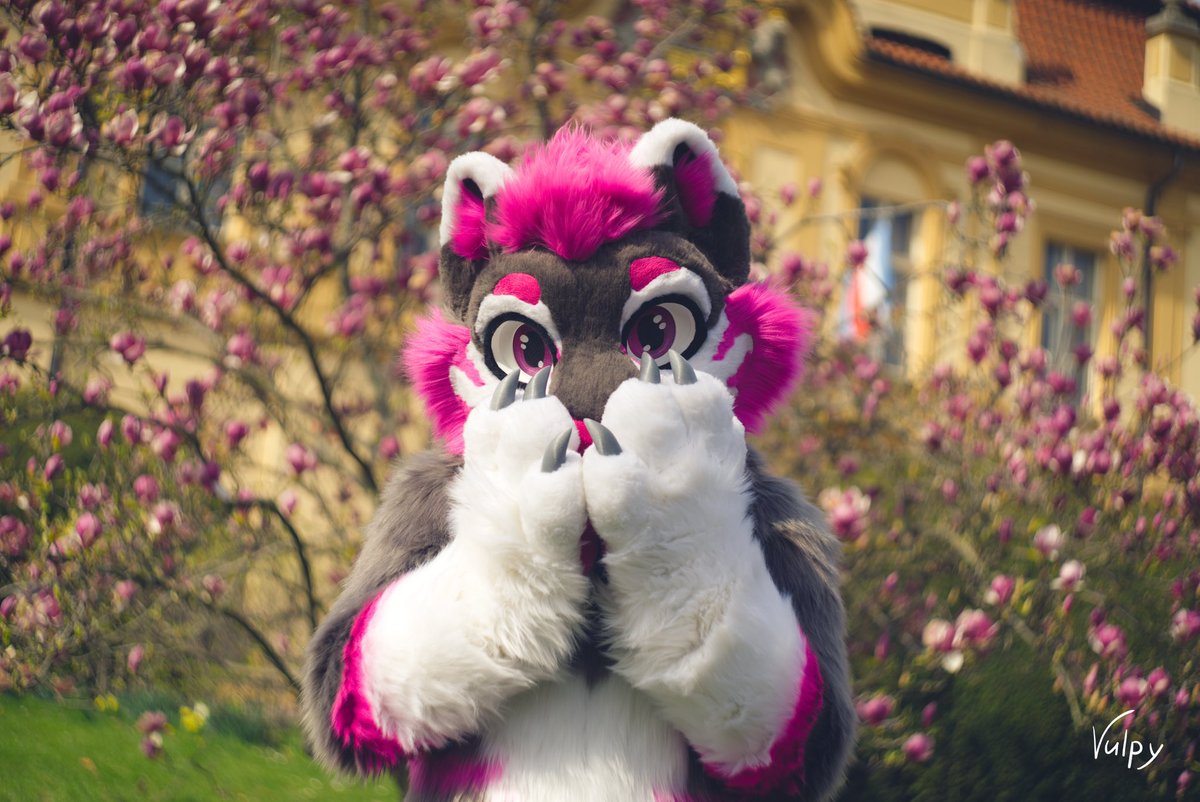 Awwwh... 🥹

📷 <a href="/VulpyBlue/">Vulpy</a> 
🧵 <a href="/chilistudios/">Sweet Chili Studios</a>