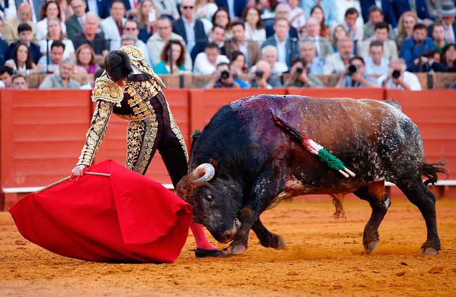 SEVILLA TAURINA (@sevillataurina) on Twitter photo CRÓNICA ST.- Pepe Moral, con dos orejas, gana su batalla / OPINIÓN ST.- "Seis portagayolas a los toros de Miura" (sevillataurina.com/2025/05/11/pep…) <a href="/sevillataurina/">SEVILLA TAURINA</a> <a href="/ManoloVieraN/">Manolo Viera</a> <a href="/Toromedia12/">Toromedia</a> <a href="/isanchezmejias/">Ignacio Sánchez-Mejías</a> <a href="/maestranzapages/">La Maestranza-Pagés</a> <a href="/UTAMAESTRANZA/">Unión Taurina de Abonados y Aficionados de Sevilla</a> <a href="/InfoMESCRIBANO/">Manuel Escribano</a> <a href="/PepeMoraltorero/">PRENSA PEPE MORAL</a> <a href="/EsauFernandez/">Esaú Fernández</a> CRÓNICA ST.- Pepe Moral, con dos orejas, gana su batalla / OPINIÓN ST.- "Seis portagayolas a los toros de Miura" (sevillataurina.com/2025/05/11/pep…) <a href="/sevillataurina/">SEVILLA TAURINA</a> <a href="/ManoloVieraN/">Manolo Viera</a> <a href="/Toromedia12/">Toromedia</a> <a href="/isanchezmejias/">Ignacio Sánchez-Mejías</a> <a href="/maestranzapages/">La Maestranza-Pagés</a> <a href="/UTAMAESTRANZA/">Unión Taurina de Abonados y Aficionados de Sevilla</a> <a href="/InfoMESCRIBANO/">Manuel Escribano</a> <a href="/PepeMoraltorero/">PRENSA PEPE MORAL</a> <a href="/EsauFernandez/">Esaú Fernández</a>