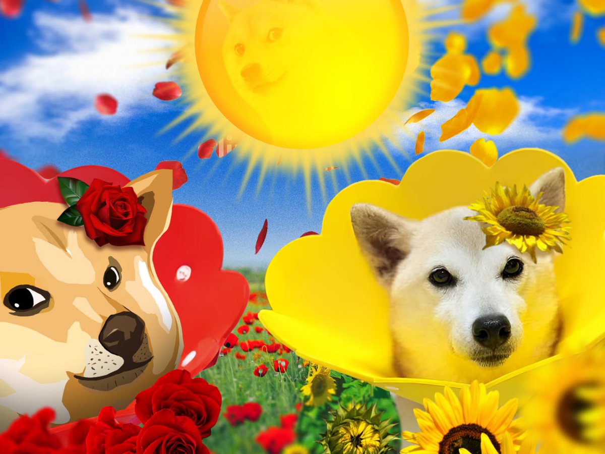 谢谢您对 $Neiro 的赞美和共识，这是我听到过最美的评论。

广袤之心，柔软之辞，用爱和善意，让心沐浴在光明中。

$Neiro 每天只做好事，不设限，没终点。💛💛💛💛💛💛💛