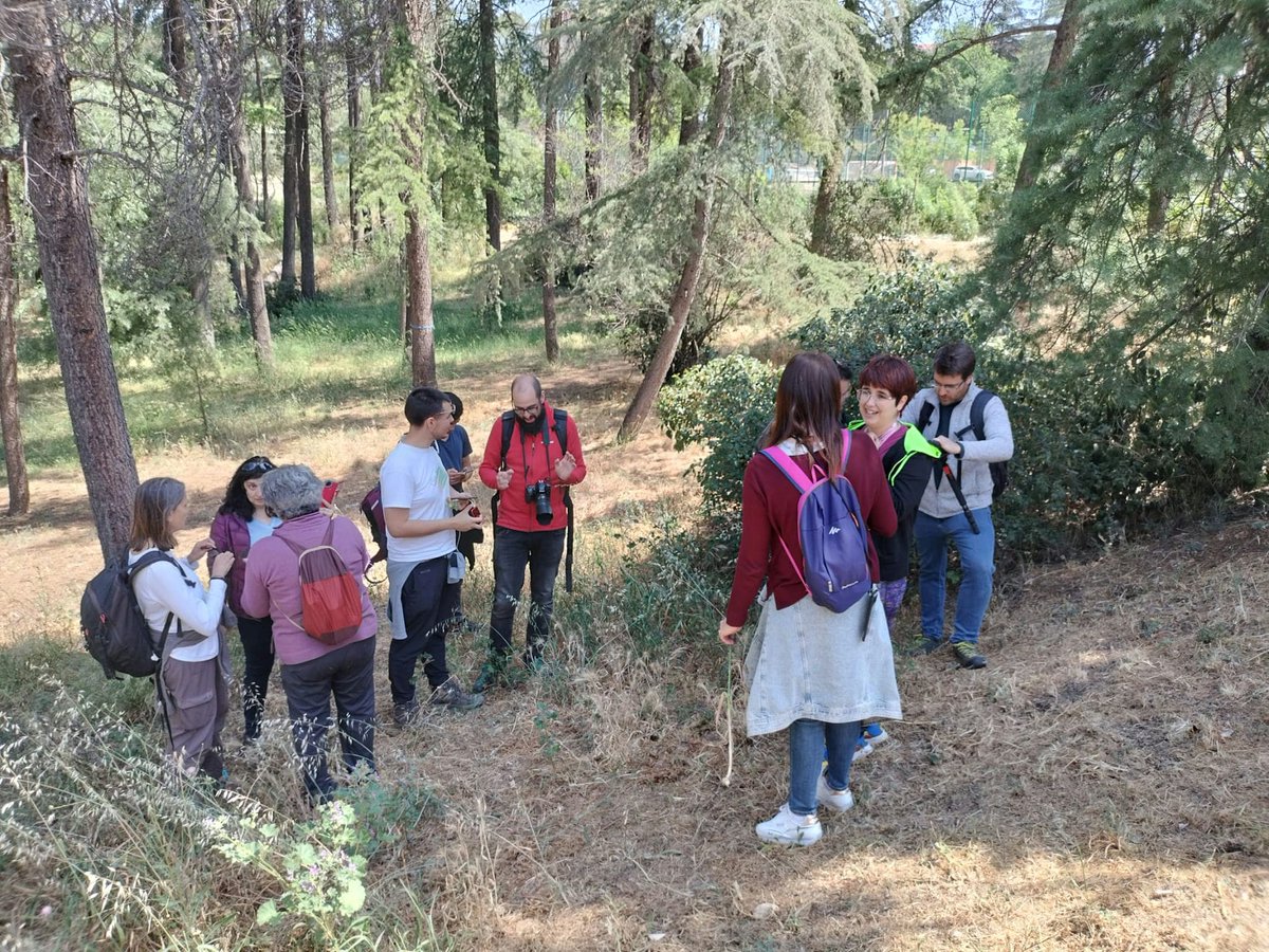 REAL JARDÍN BOTÁNICO (@rjbotanico) on Twitter photo 🌿📷 ¡Vuelve el <a href="/biomaraton/">Biomaratón de Flora Española</a> de Flora Española! Durante mayo, sube tus fotos de flora silvestre a iNaturalist y contribuye a la ciencia ciudadana. <a href="/SEBiCoP/">sebicop.bsky.social</a> <a href="/OficialSebot/">Sociedad Botánica Española</a>
rjb.csic.es/v-biomaraton-d… 🌿📷 ¡Vuelve el <a href="/biomaraton/">Biomaratón de Flora Española</a> de Flora Española! Durante mayo, sube tus fotos de flora silvestre a iNaturalist y contribuye a la ciencia ciudadana. <a href="/SEBiCoP/">sebicop.bsky.social</a> <a href="/OficialSebot/">Sociedad Botánica Española</a>
rjb.csic.es/v-biomaraton-d…