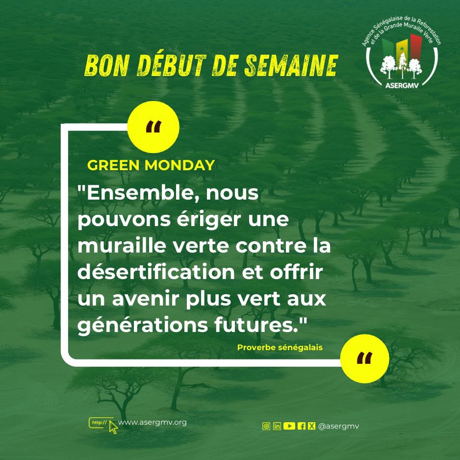 𝔾ℝ𝔼𝔼ℕ 𝕄𝕆ℕ𝔻𝔸𝕐

"Ensemble, nous pouvons ériger une muraille verte contre la désertification et offrir un avenir plus vert aux générations futures." Proverbe sénégalais

Excellente semaine de travail à toutes et à tous🙏🏼

#ASERGMV #dakar #senegal #GrandeMurailleVerte