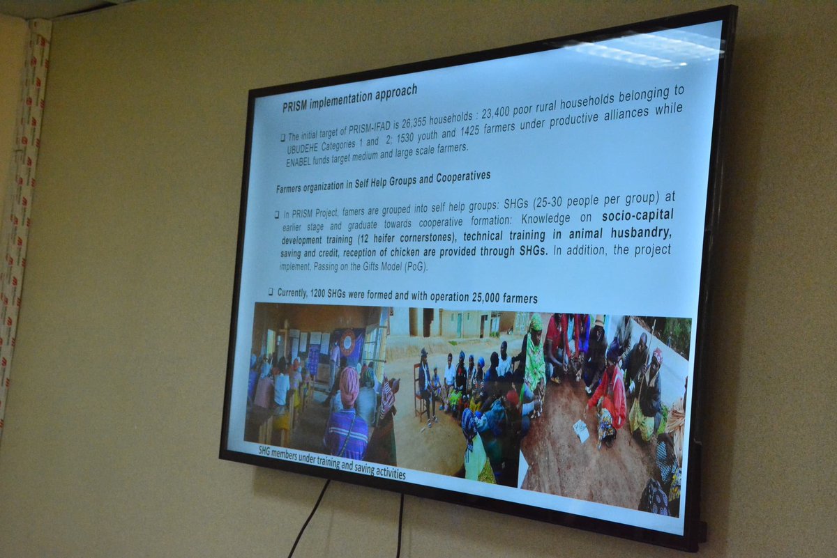 JoelOptimist1's tweet image. The #PRISMProject is transforming rural livelihoods in Rwanda, empowering over 23,400 poor &amp;amp; food-insecure households with pigs, chickens, goats, &amp;amp; sheep.