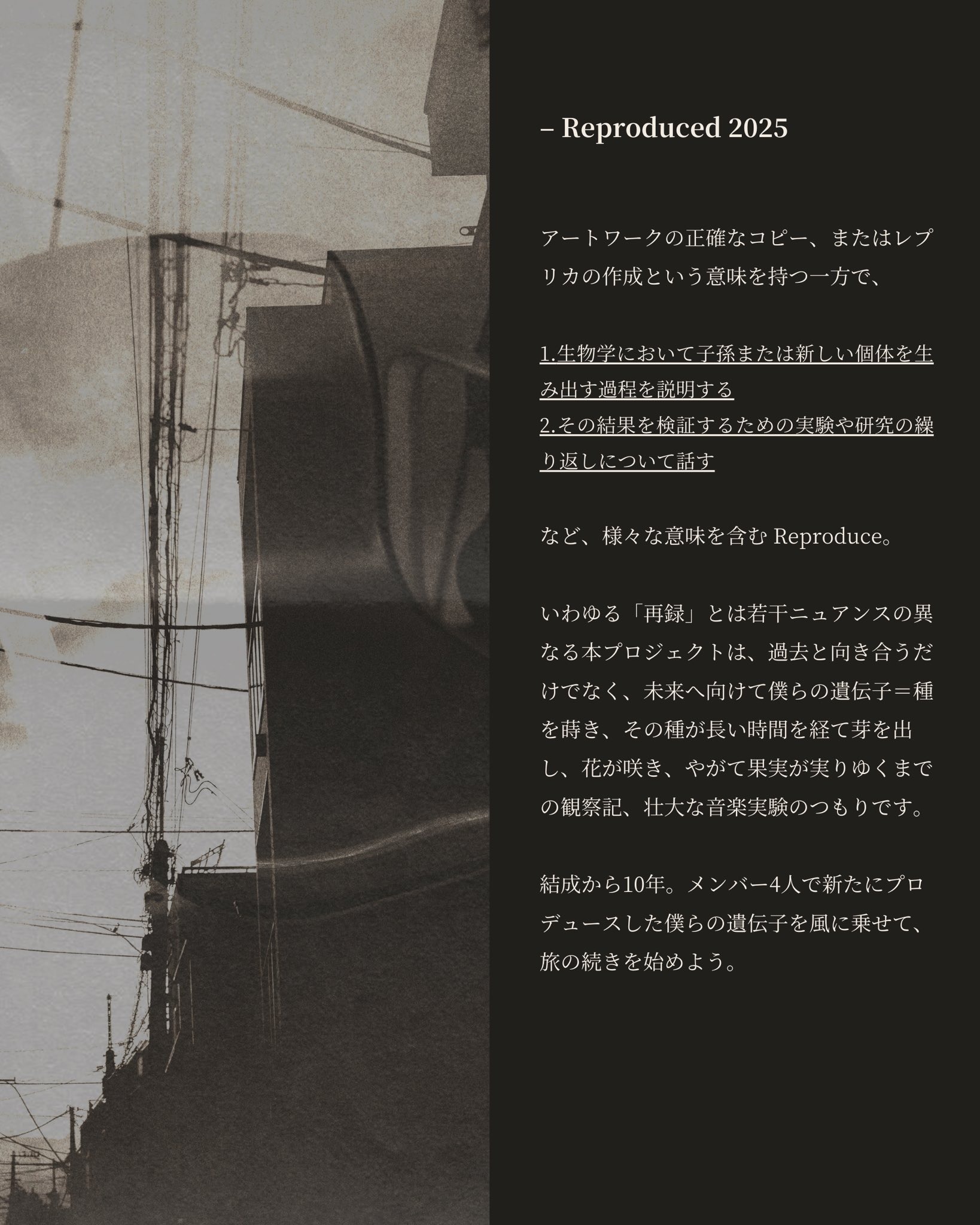 神はサイコロを振らない　柳田周作ピック LIFE with Fender | Shusaku Yanagita（神はサイコロを振らない