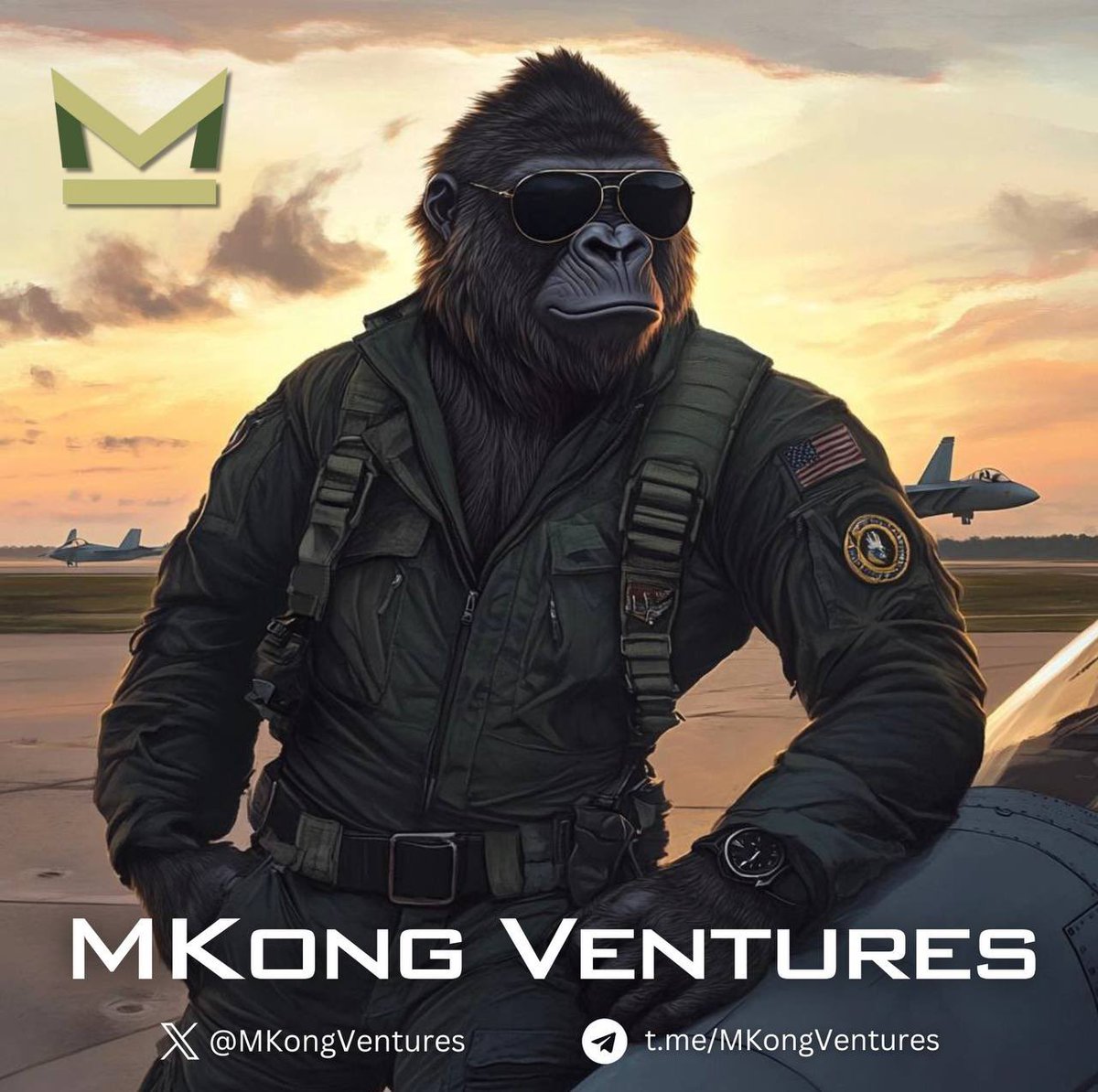 “I feel the need… the need for speed.”

$MKONG has officially taken flight on <a href="/base/">Base</a>

Blazing from #ETH to #Base to unlock scalable #AI utility, faster transactions, and next-level on-chain gameplay.

Strap in. MKong.io