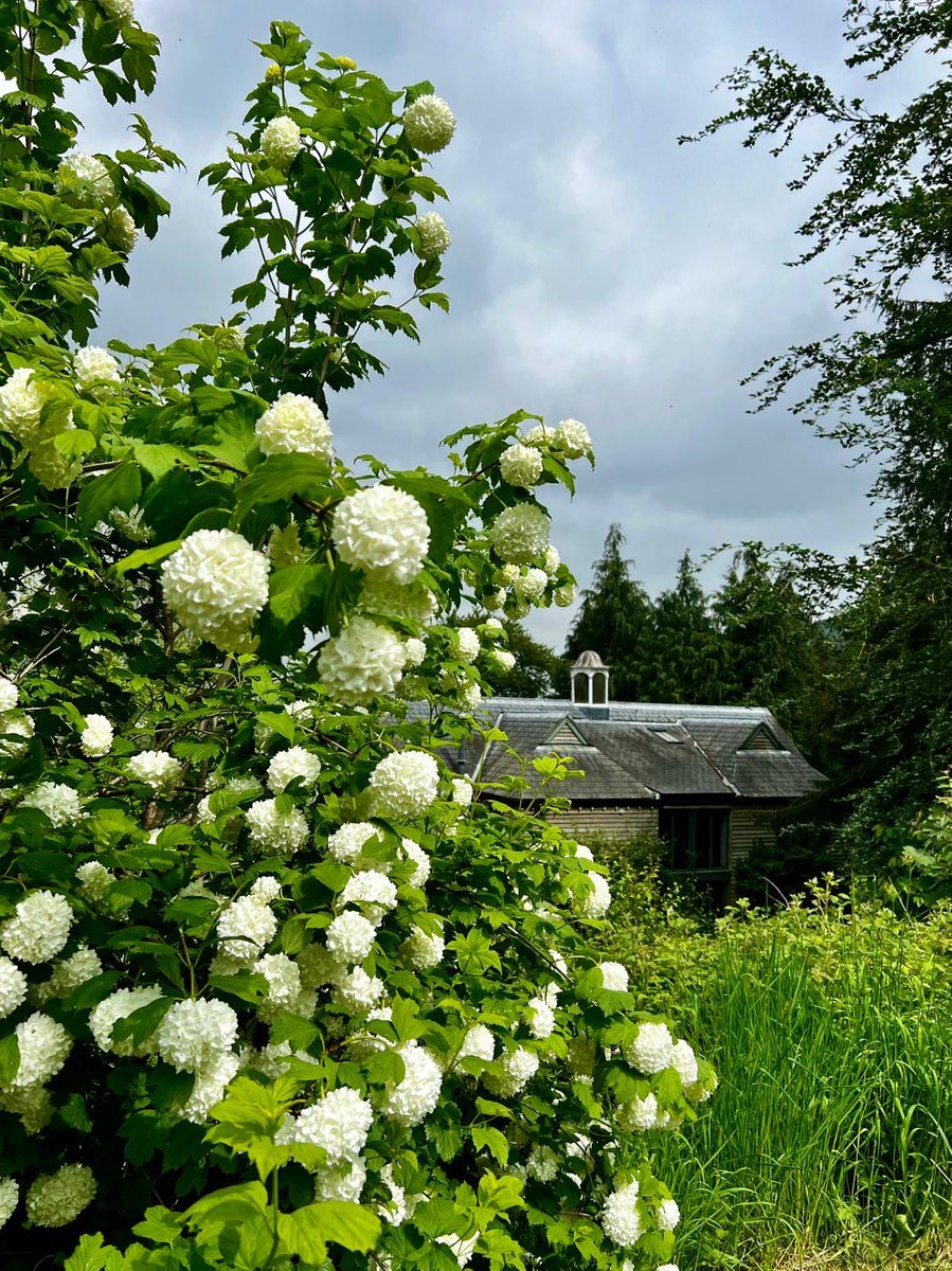 Join us for The Hurst Open Gardens on Sunday 18 May, 2pm - 5pm. Visit the former home of playwright John Osborne and enjoy 26 acres of gardens and woodland.

🏡 House tours
🫖 Tea, coffee &amp; cake
🪴 Plant stall
📚 Book stall

📍 The Hurst, Craven Arms, Shropshire, SY7 0JA