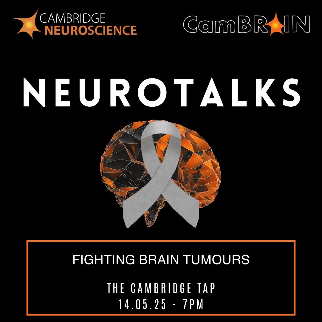 CamBrainCNS's tweet image. Join us Wednesday for Neurotalks on Fighting Brain Tumours. Francesca Cozzi and Jessica Taylor from @CRUKCamCentre will discuss how they disrupt the brain, how we can predict what tumours will do, and ongoing research into treatments 💊