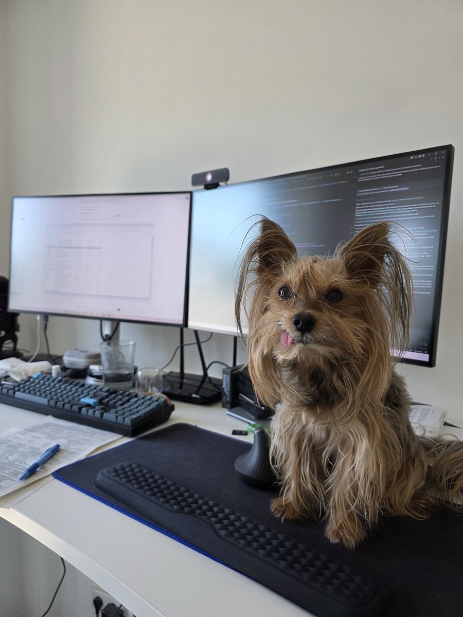 The best code consultant