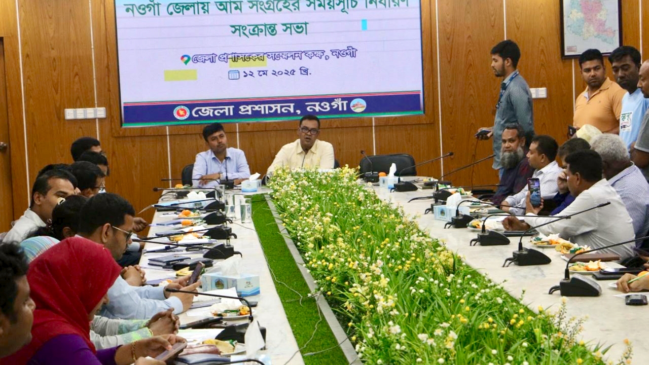 ২২ মে থেকে বাজারে দেখা মিলবে নওগাঁর আম